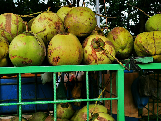 印度尼西亚的路边卖着年轻的椰子汁。这种饮料很受欢迎，因为它有淡水的味道和低廉的价格图片下载