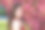 在一个阳光明媚的日子里，美丽的年轻女子的肖像在苹果树盛开的公园里。春天图片下载