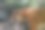 美丽的马来亚虎画像图片下载