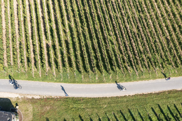 骑车人、行人和他们的影子图片下载