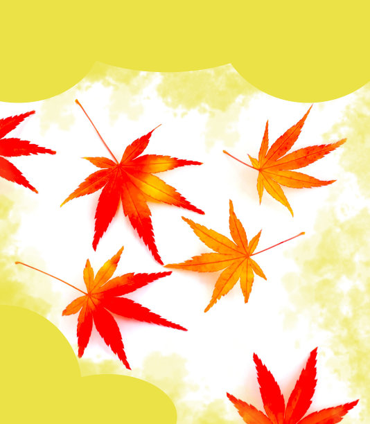 枫叶和金色的背景。图片下载