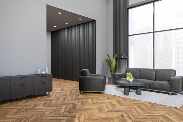 灰色放松室内部有沙发和抽屉，全景窗图片下载