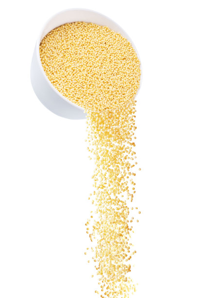 干小米粥在白色的孤立的背景图片下载