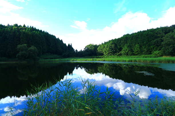 奈良县的龙口口池图片下载