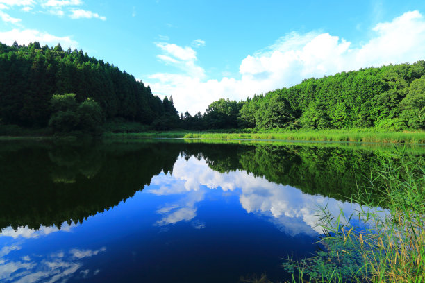 奈良县的龙口口池图片下载