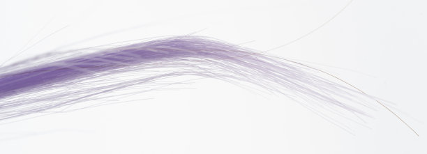 紫色的头发链图片下载