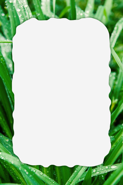 抽象的自然背景与绿色植物的叶子和创造性的框架图片下载