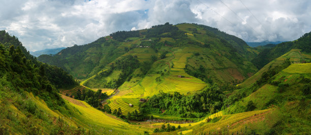 越南群山间梯田的全景图。图片下载