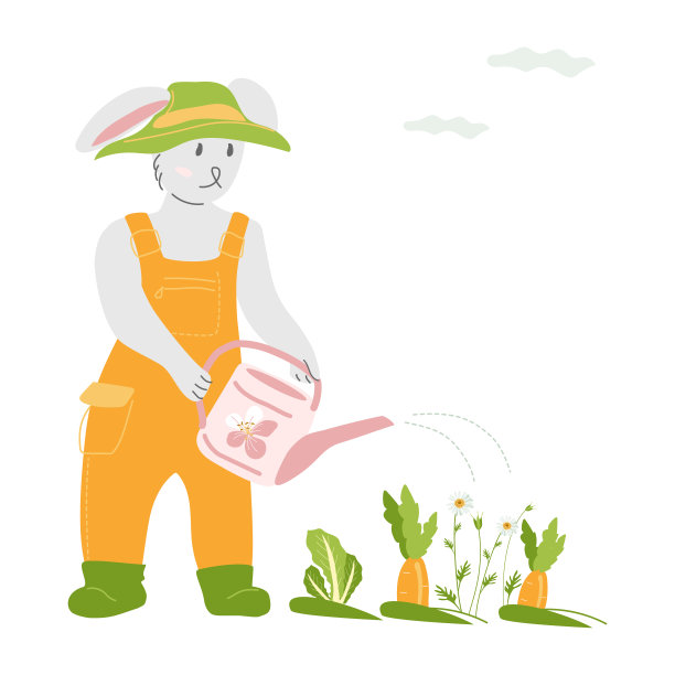 种兔的农夫在他的花园里给胡萝卜浇水图片下载