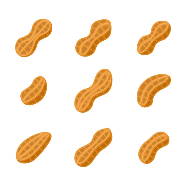 花生图标设置在白色背景。向量图片下载