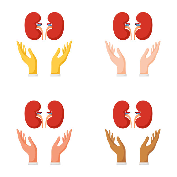 用肾脏做手势图片下载