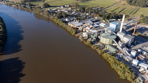 河边的甘蔗厂图片下载