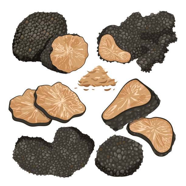 黑松露蘑菇，整块松露切进去图片下载