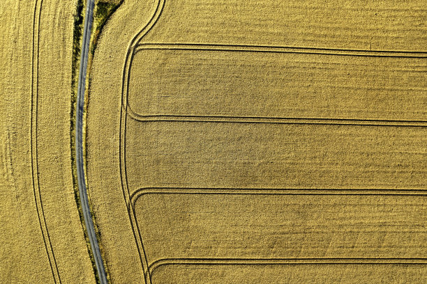 带绿地的农业景观(航拍)图片下载