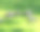 国王公园和植物园是一个占地400.6公顷的公园，俯瞰珀斯水域和澳大利亚珀斯的中央商务区。图片下载