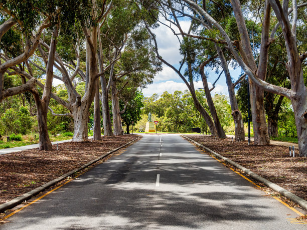 国王公园和植物园是一个占地400.6公顷的公园，俯瞰珀斯水域和澳大利亚珀斯的中央商务区。图片下载