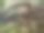 国王公园和植物园是一个占地400.6公顷的公园，俯瞰珀斯水域和澳大利亚珀斯的中央商务区。图片下载