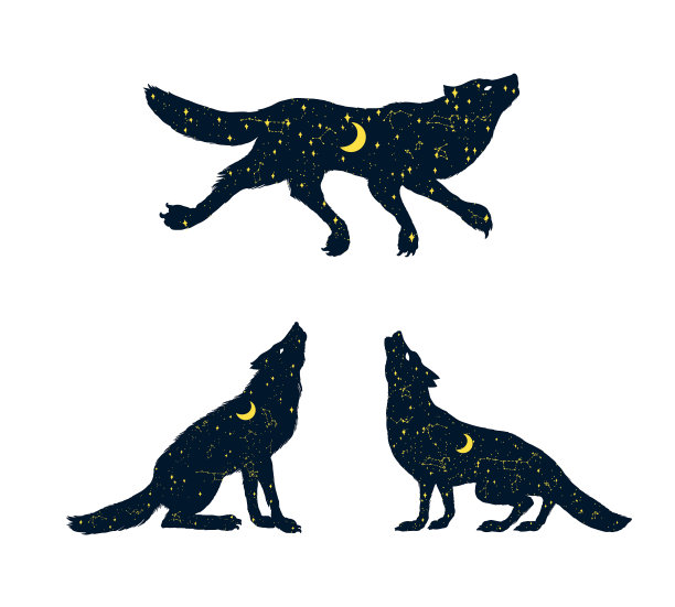 狼对着月亮的剪影嚎叫图片下载