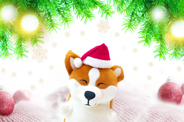 圣诞卡片上有有趣的玩具柯基狗和圣诞老人的帽子。新年快乐。新年装饰。金色闪光灯光图片下载