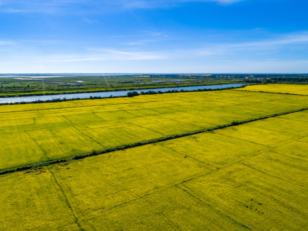 金色农田的航拍照片图片下载
