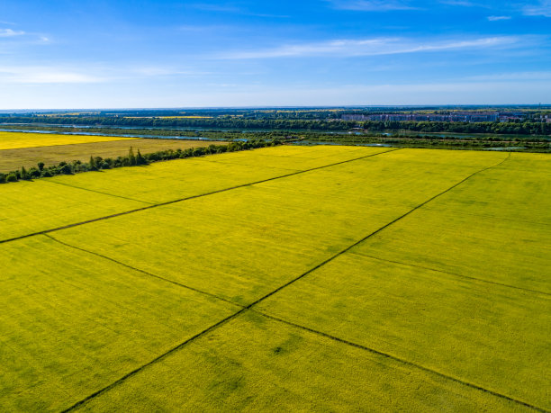 金色农田的航拍照片图片下载