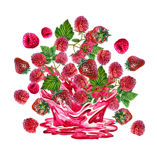浆果变成汁。草莓和覆盆子的组合。水彩。用于包装、标签、纺织品图片下载