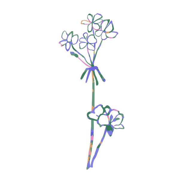 花彩色插图图片下载