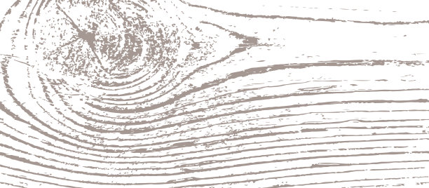 木结结构图片下载