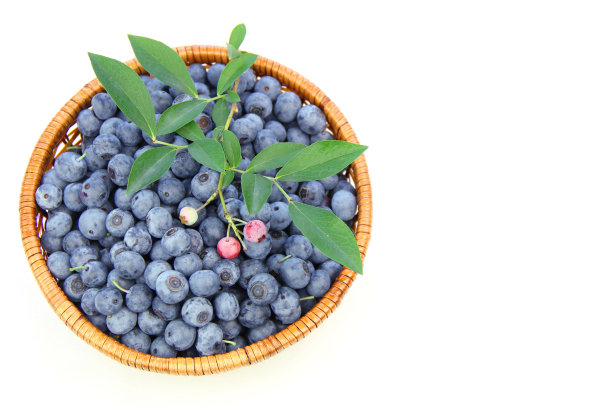蓝莓放在过滤器里图片下载