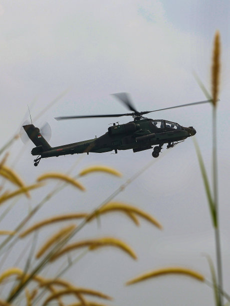 印尼国家陆军空军阿帕奇直升机在哈利姆机场飞行图片下载