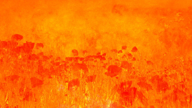 抽象的背景图片下载