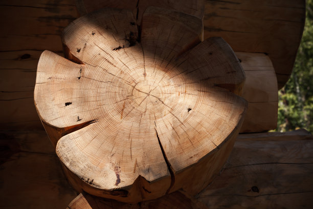 西伯利亚松原木，用作木屋的一部分图片下载