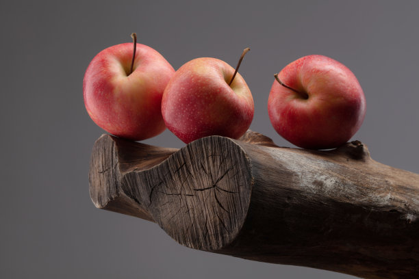 黑色背景下，干燥的木头树上挂着红色美味的苹果。图片下载