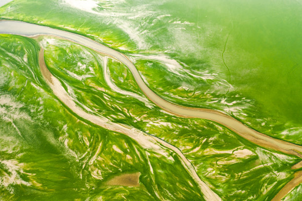 中国江西鄱阳湖干旱景象图片下载