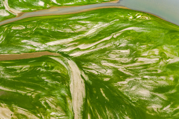 中国江西鄱阳湖干旱景象图片下载