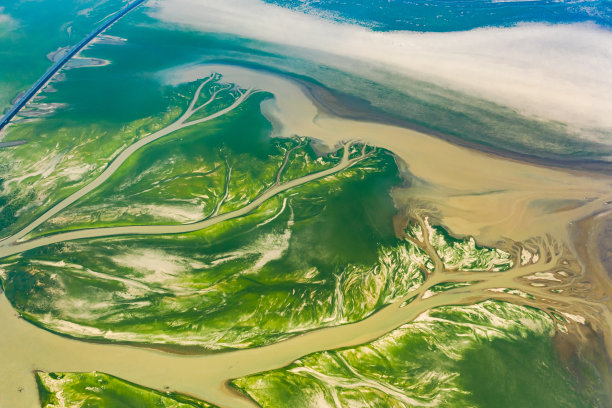 中国江西鄱阳湖干旱景象图片下载