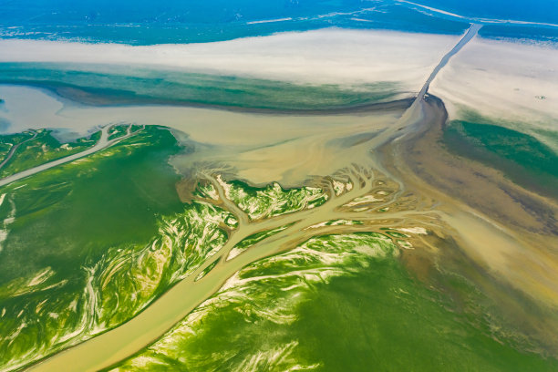 中国江西鄱阳湖干旱景象图片下载