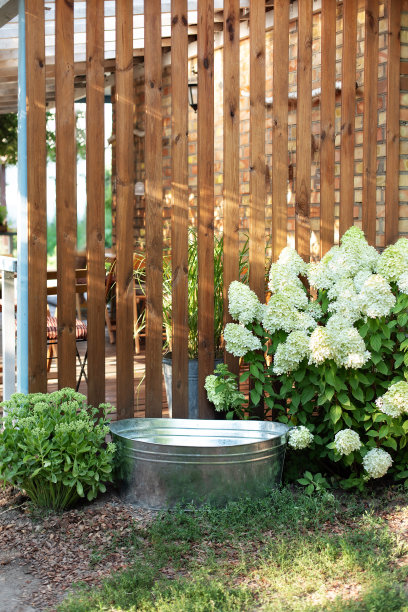 盛开的灌木白色绣球花和老铁碗在后院的木屋，夏天装饰户外露台。花园里的镀锌盆靠在家里的木墙上。后院的金属浴图片下载