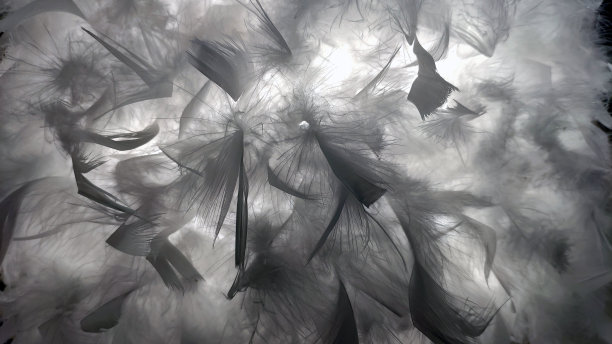 古董backround图片下载