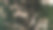200张印度卢比纸币掉了下来。钞票。金钱雨。图片下载