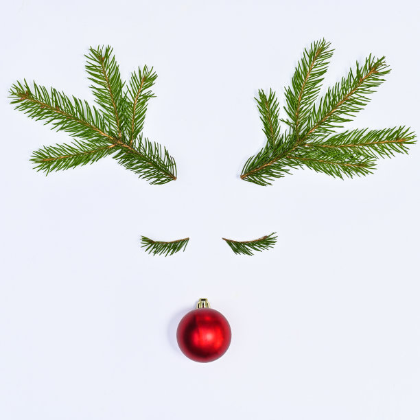 用圣诞装饰品和白色背景的冷杉树枝制作的创意驯鹿。平铺新年假期概念图片下载