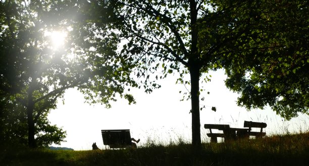阳光明媚的下午，在公园的长凳上图片下载