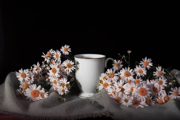 一杯白茶。甘菊奶蓟茶。秋天喝。暖秋茶。从感冒。惬意的秋天照片与茶。草药。图片下载