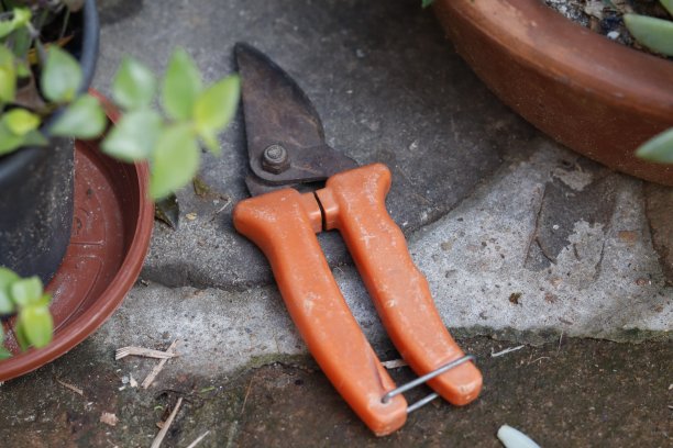修枝剪图片下载