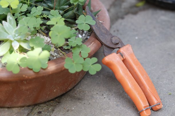 修枝剪图片下载