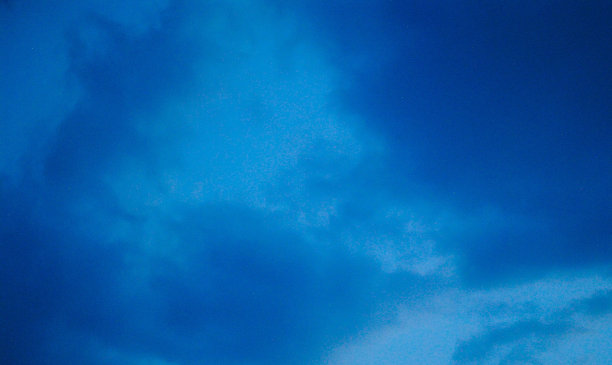 照片从五月到八月图片下载