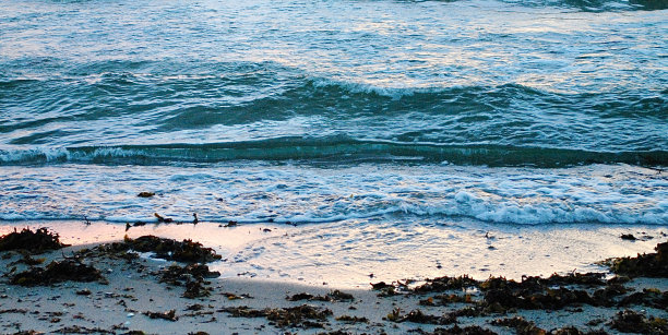 照片从五月到八月图片下载