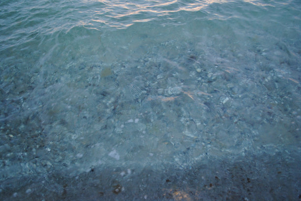 照片从五月到八月图片下载