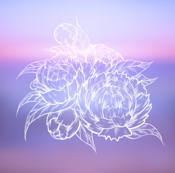 牡丹速写卡图片下载