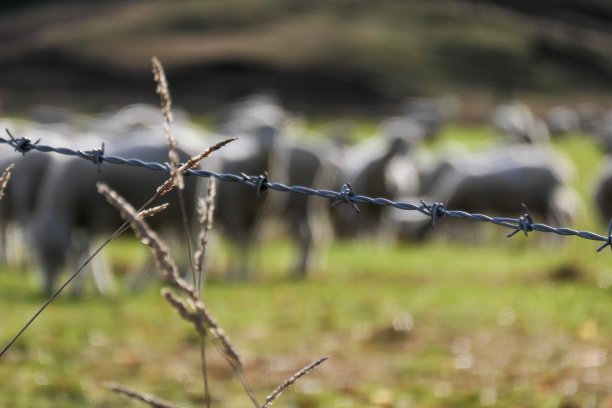 铁丝网链图片下载